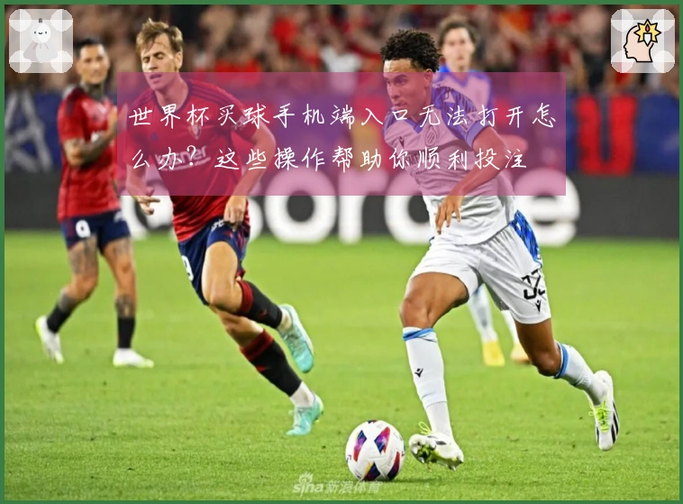 世界杯买球手机端入口无法打开怎么办？这些操作帮助你顺利投注