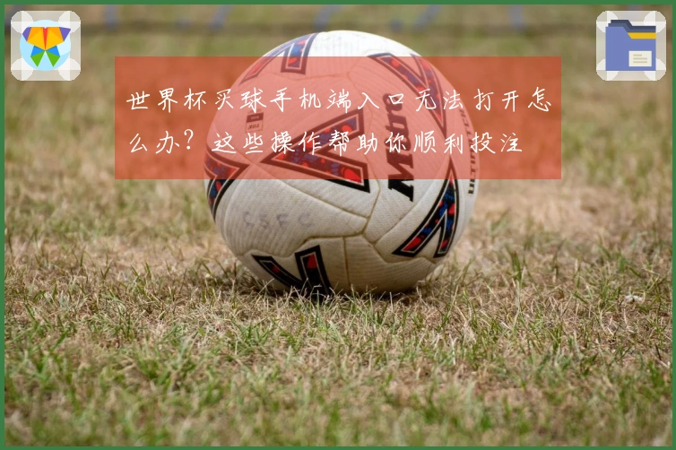 世界杯买球手机端入口无法打开怎么办？这些操作帮助你顺利投注
