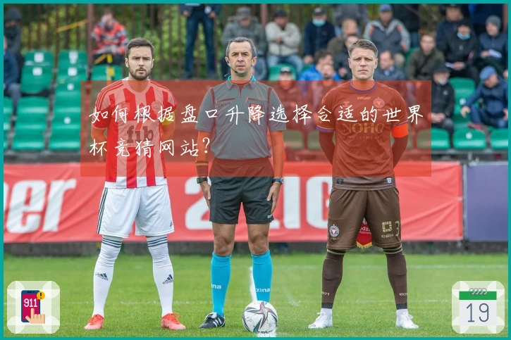 如何根据盘口升降选择合适的世界杯竞猜网站？