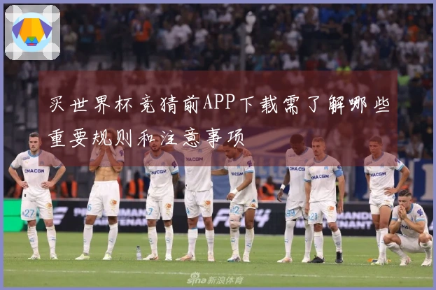 买世界杯竞猜前APP下载需了解哪些重要规则和注意事项