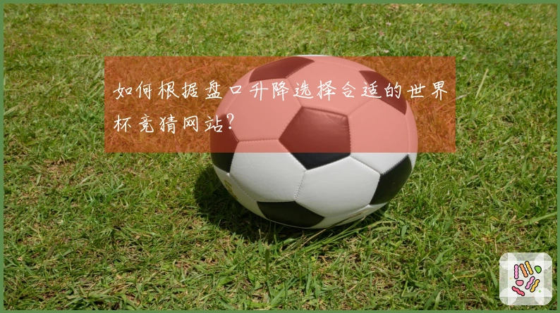 如何根据盘口升降选择合适的世界杯竞猜网站？
