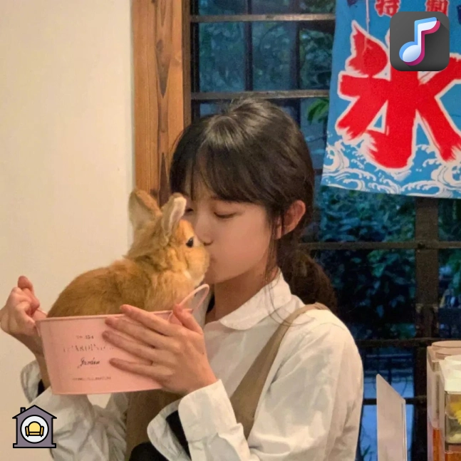 李洋会员